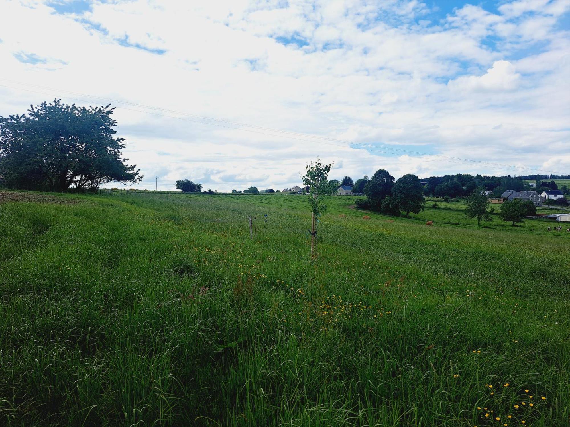 *Au Refuge Ardennais* Apartment Bertogne Bagian luar foto